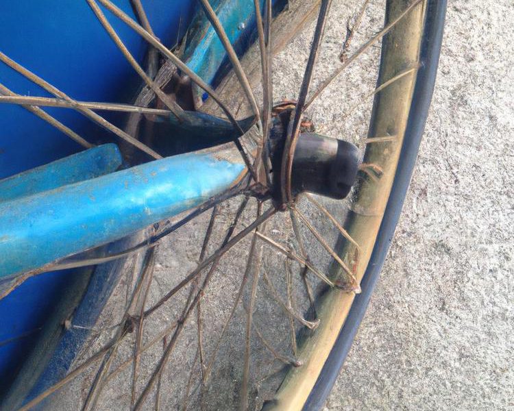 aplikacja na rower po polsku