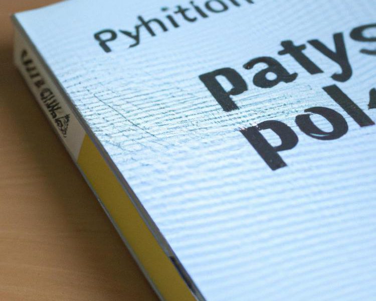 python do czego służy